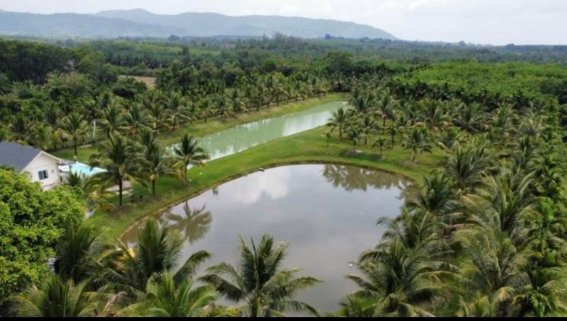 Amazing Property Alert