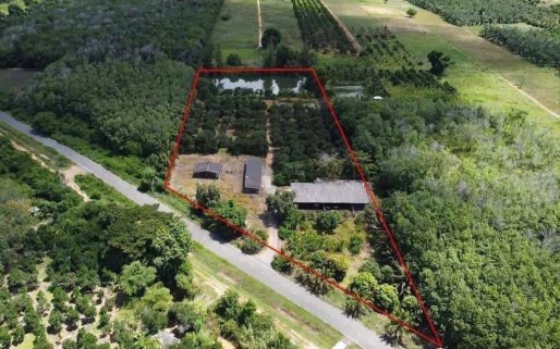 Beautiful Resort with House & Fishing Lakes