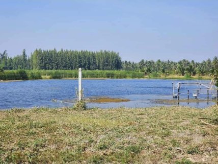 Fish Farm with 22+ rai for sale