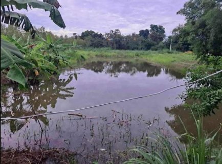 Beautiful Home with Land & Private Fishing Lake