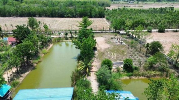 Beautiful Mountain View Home & Fish Farm