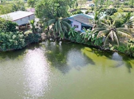 Fish Farm & Home – Rayong Province