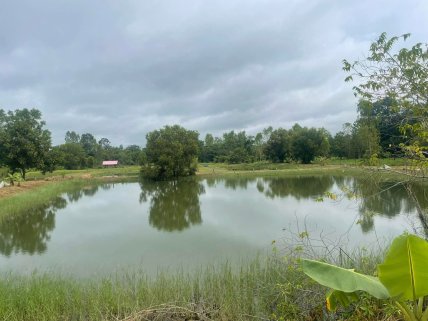 Fruit & Fish Farm for Sale, Ubon Ratchathani, Thailand