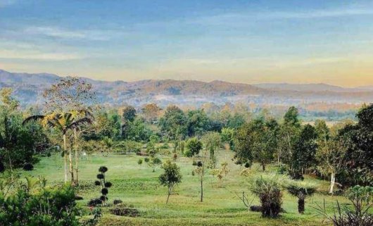 🤩 ⭐️ ⭐️ ⭐️ ⭐️ ⭐️ 😮   🏔️ CHIANG MAI DREAM LOT – HILLTOP LAND WITH STUNNING MOUNTAIN VIEWS
