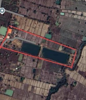 Land/House & 2 Fishing Lakes in Udon Thani, Thailand 🇹🇭