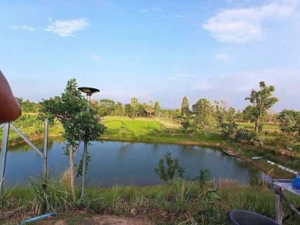 Beautiful Fruit & Fish Farm