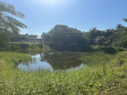 An Exciting Rare Fishing Resort Renovation Project Now Available!