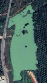 🎣 🐠 Paradise Fishing Surat Thani – New Investment & Fishing Opportunity 🌴💰