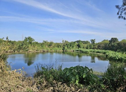 New Instruction Alert ‼️   Land with Fishing Lake for Sale in Thailand 🇹🇭