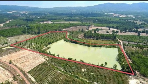 🤩 ⭐️ ☀️ 🎣 🐠 🇹🇭 New Listing — Fishing Lake & Palm Plantation Land for Sale! 🇹🇭