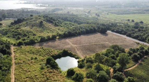 🏞 Scenic Mountain View Land Near Reservoir for Sale 🇹🇭