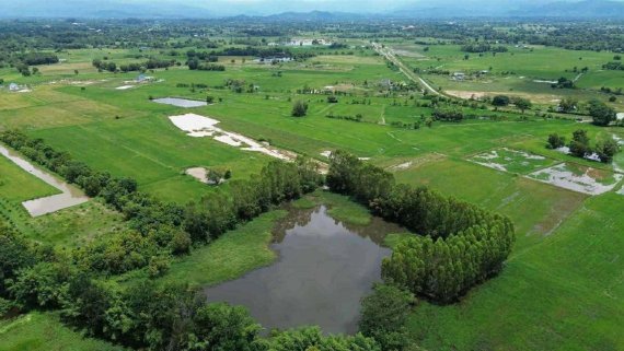 Amazing Opportunity 🤩 ⭐️ ☀️ 🎣 🐠 🇹🇭 Fishing Lake for Sale or Lease in Thailand 🇹🇭