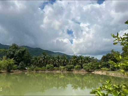 🌿 Stunning Fishing Lake & Lifestyle Farm Estate for Sale in Chiang Rai 🇹🇭🎣