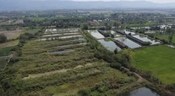 🚨 Amazing Agricultural Investment Opportunity in Chiang Rai 102 Rai‼️ 🌿🐟🐔🏡