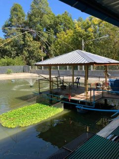 New Instruction Alert ‼️   🐟🦐 Family Fish & Shrimp Farm for Sale 🦐🐟