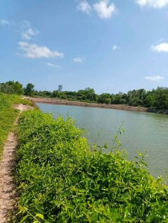 ‼️ New Instruction Alert ‼️  🐟🌿 Fish & Shrimp Farm Land for Sale 🌿🐟