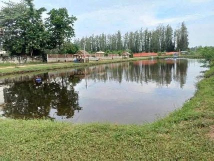 ⭐️⭐️ PRICE REDUCED TO 11,500,000 THB — SERIOUS OFFERS INVITED ⭐️⭐️‼️  ⸻  🎣 Modern Fish Farm, Family Home & Fishing Park For Sale