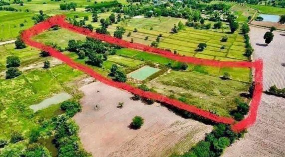 🚨🔥 URGENT SALE – PRICE REDUCED! 🔥🚨 🟢 Cattle & Fish Farm for Sale 🐄🐟🌿🇹🇭