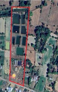 🌴🏡 Boutique Farm, Resort & Investment Opportunity 🏡🌴