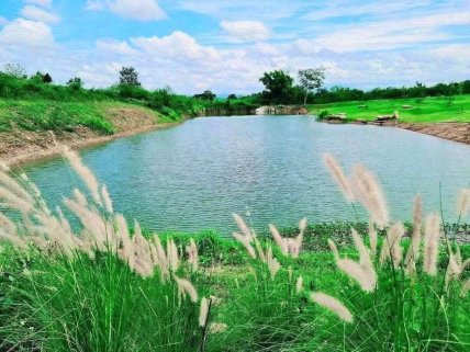 ⭐️ ⭐️ ⭐️ ⭐️ ⭐️ New Instruction 🏔️ 🌄 🪴   🏕️🌄🌿 Rare Opportunity • Beautiful Land • Khao Yai 🇹🇭✨