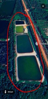 ‼️ New Instruction Alert ‼️ 🐟🌿 Fish & Shrimp Farm Land for Sale in Rayong Thailand  🌿🐟