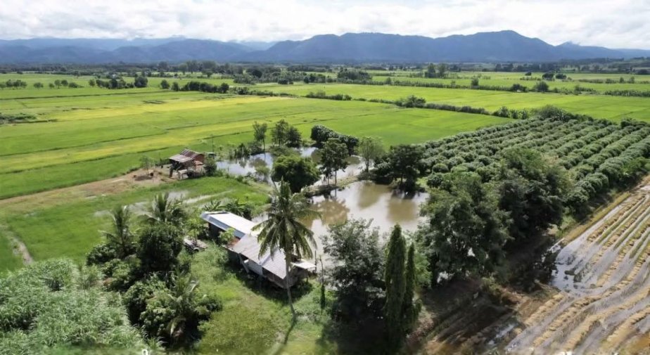 Very Good Price! Mountain View Farm Land with Pond & Fruit Orchard for Sale in Thailand 🇹🇭