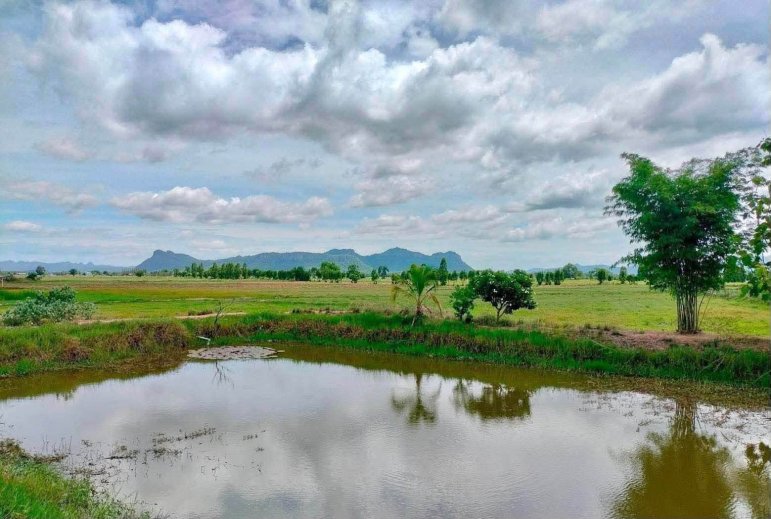 New Instruction 🎣 🐠 ⛰️ 🪴 🇹🇭  🏡🌄 Mountain View Land for Sale – Prime Roadside Location in Kanchanaburi 🇹🇭✨