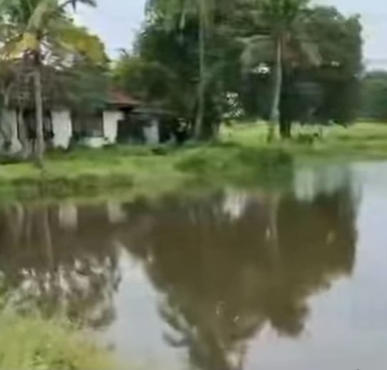 ✨ New Instruction FOR SALE 🏡🎣🌿🇹🇭 ✨ Fishing Lake Land – Udon Thani Thailand 