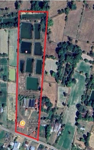 🌴🏡 Boutique Farm, Resort & Investment Opportunity 🏡🌴