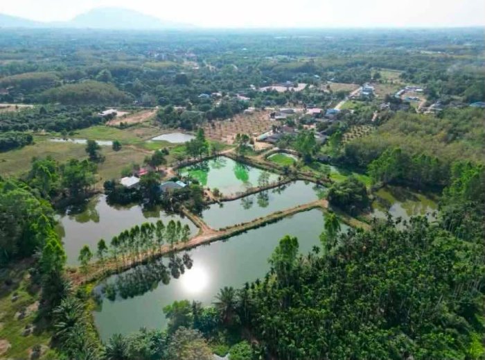 🔥 NEW INSTRUCTION — FISH FARM FOR SALE! 🔥  🐟🏡 FISH FARM & PROPERTY FOR SALE — RAYONG, THAILAND 🇹