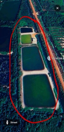 ‼️ New Instruction Alert ‼️ 🐟🌿 Fish & Shrimp Farm Land for Sale in Rayong Thailand  🌿🐟
