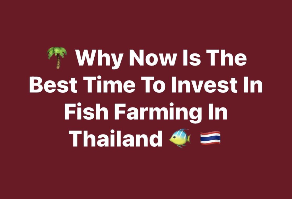 Why Now Is the Best Time to Invest in Fish Farming in Thailand