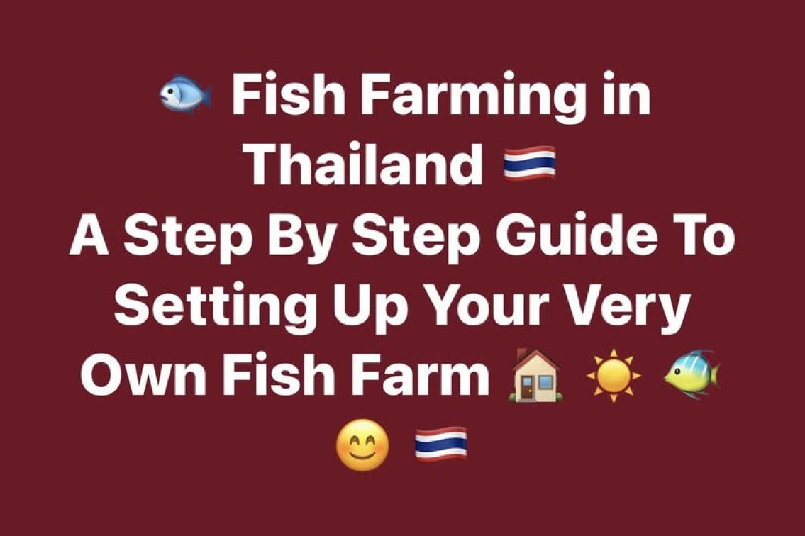 🐟 Fish Farming in Thailand 🇹🇭  📘 A Step-By-Step Guide to Setting Up Your Very Own Fish Farm 🏠 ☀️ 🐠 😴 🇹🇭 