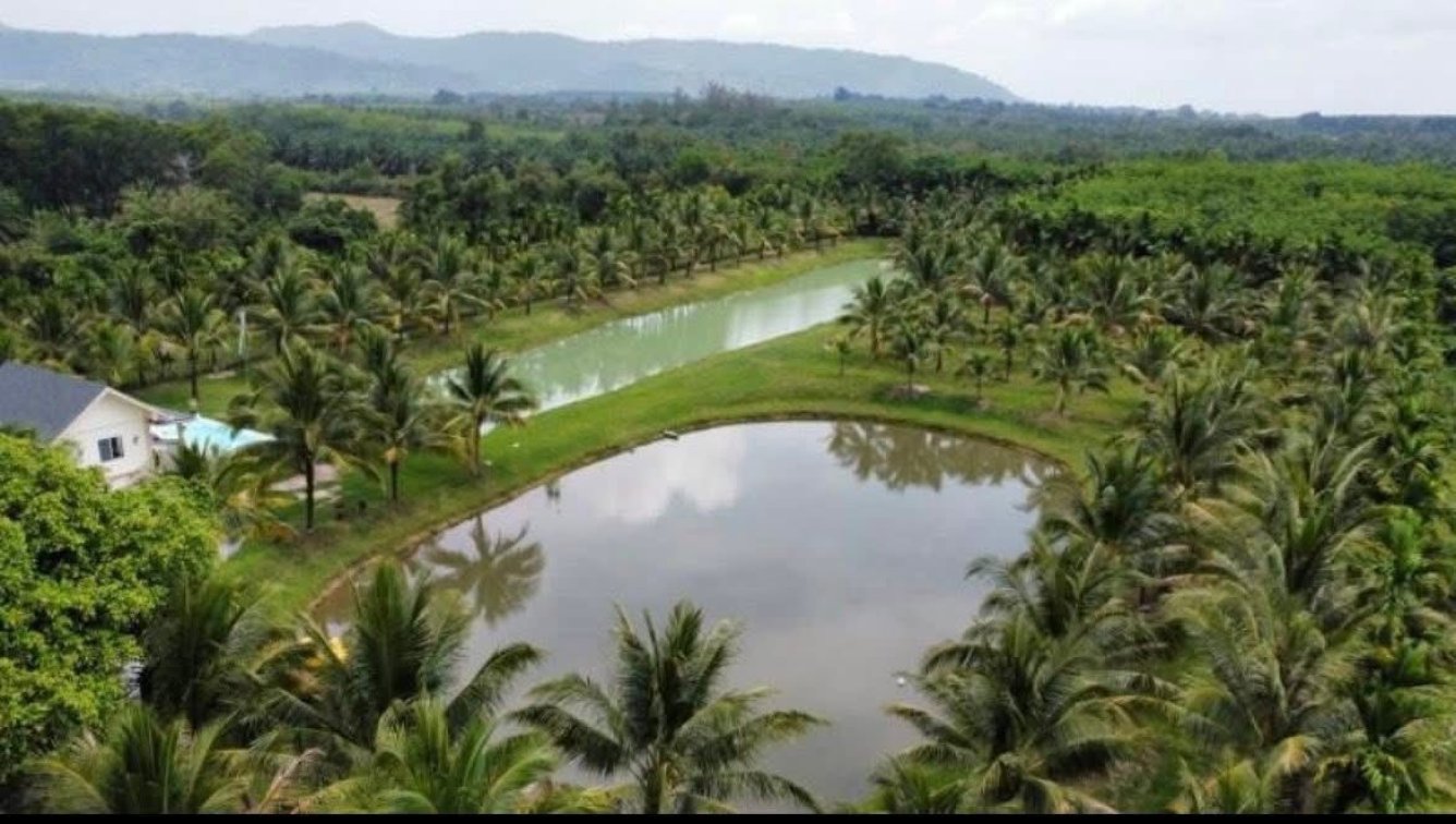 Amazing Property Alert