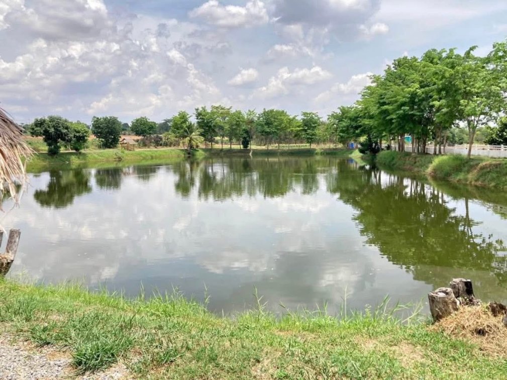 Great Investment: Farm Resort Rak Huk Na 