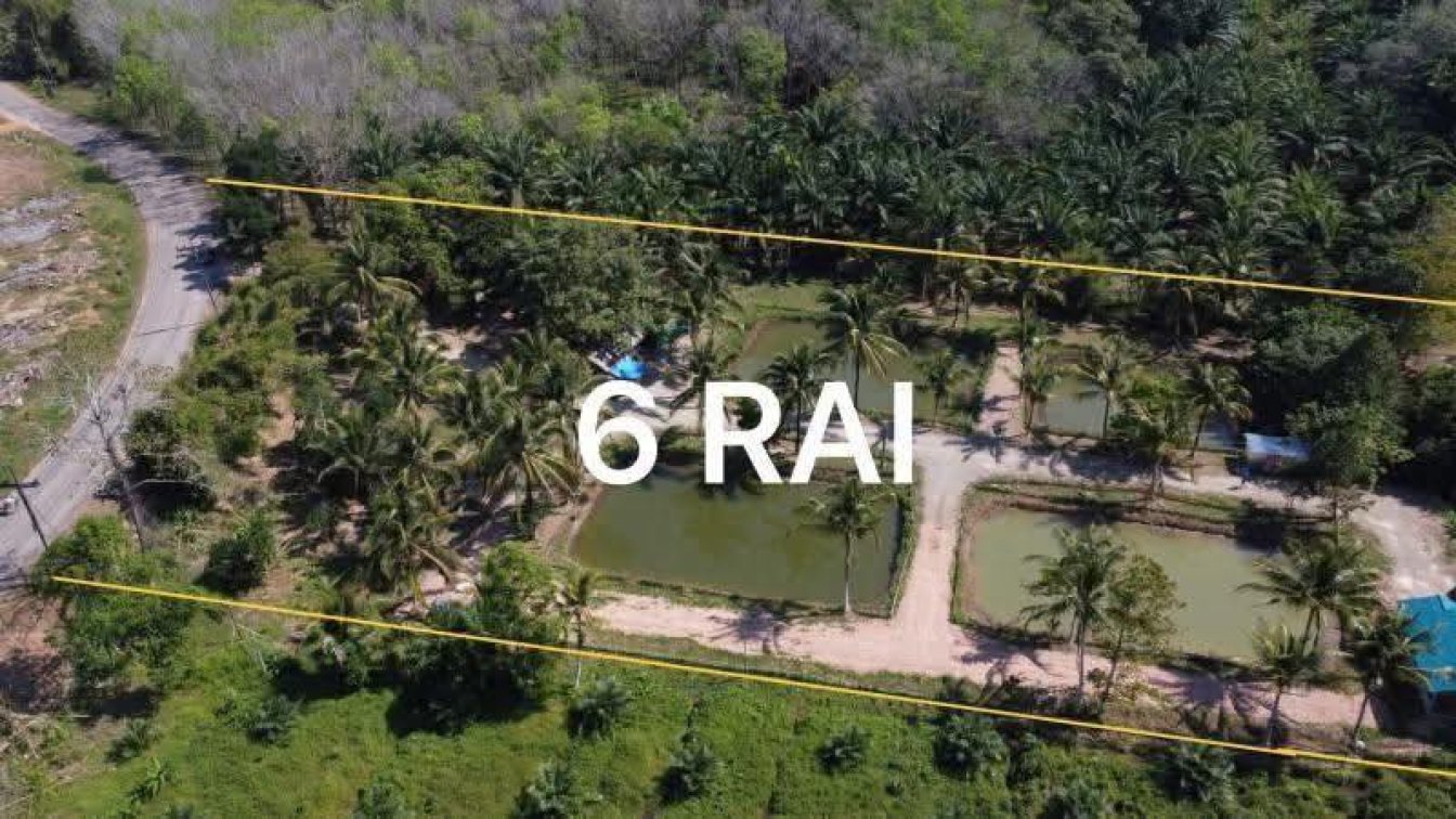 Beautiful & Peaceful Plot of Land for Sale