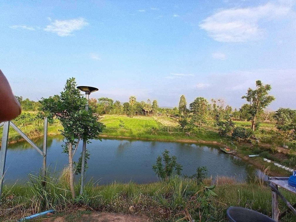 Beautiful Fruit & Fish Farm