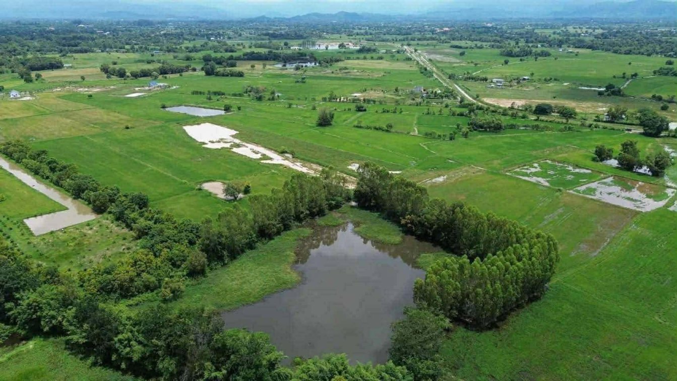 Fishing Lake for Lease in Nakhon Nayok Thailand 🇹🇭