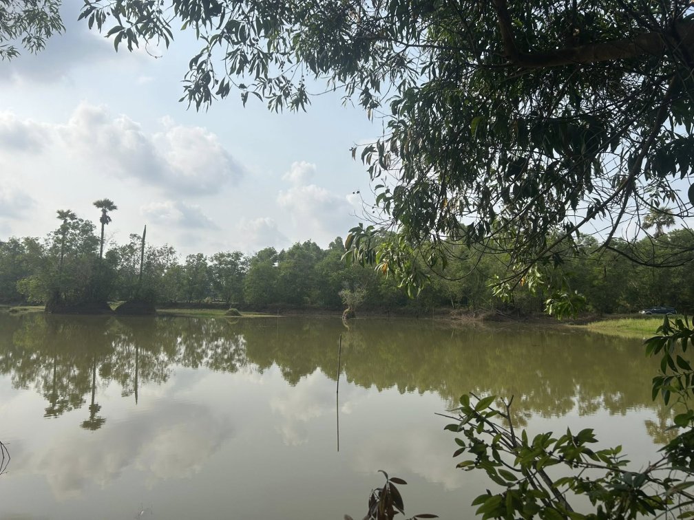 Fishing Lake for Lease in Prachin Buri Thailand 🇹🇭