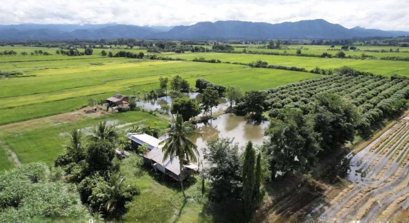 Very Good Price! Mountain View Farm Land with Pond & Fruit Orchard for Sale in Thailand 🇹🇭