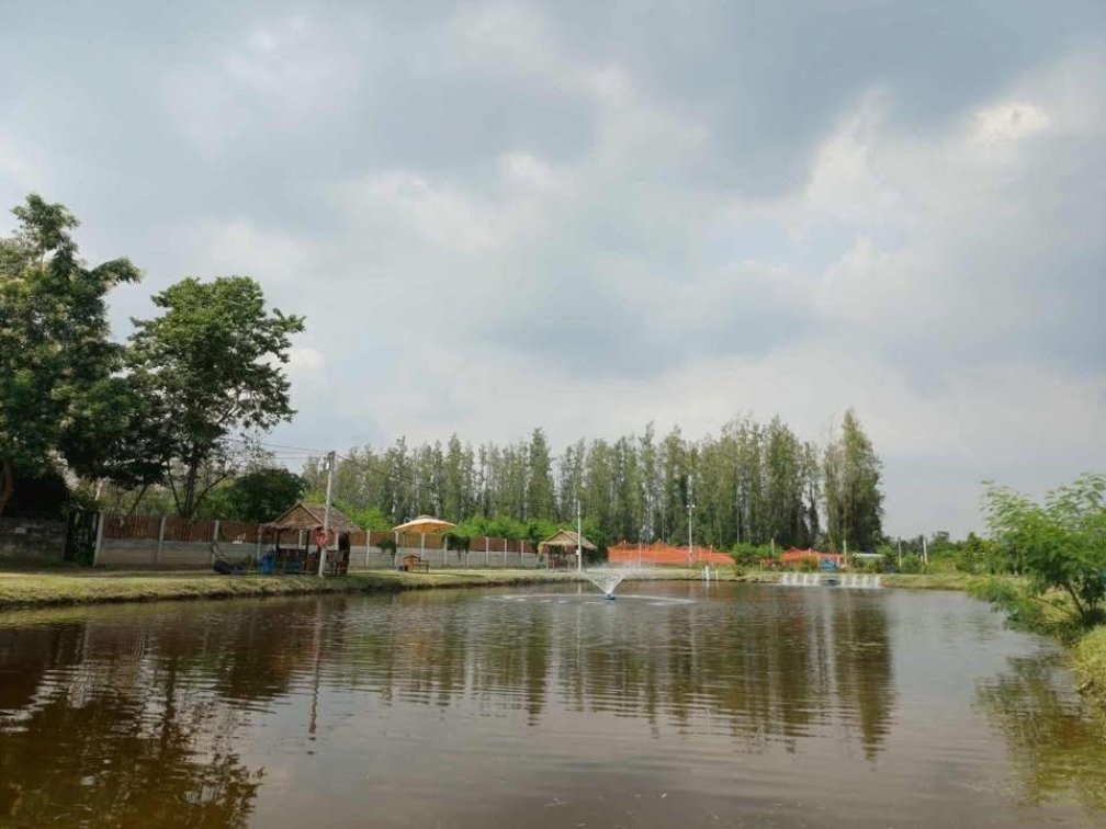 🎣 Modern Fish Farm, Family Home & Fishing Park For Sale – Phetchaburi, Thailand 🇹🇭