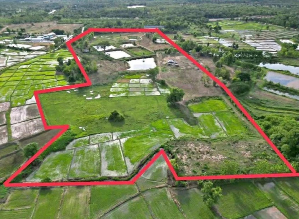 🏡🌾 Agricultural and Fish Farm For Sale 🇹🇭 🎣🌿✨