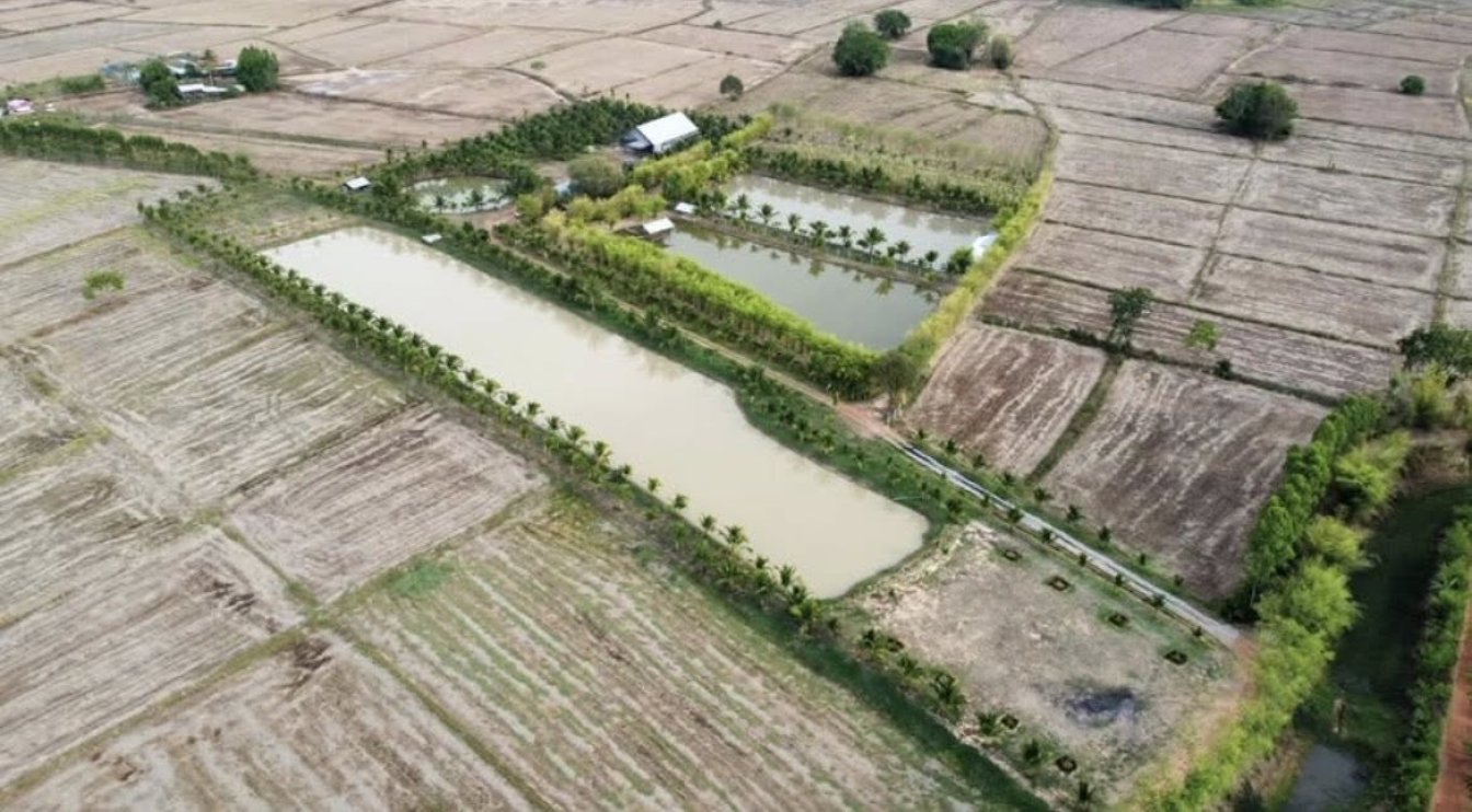 🌄 Mountain View Garden Resort Property for Sale in Thailand 🇹🇭