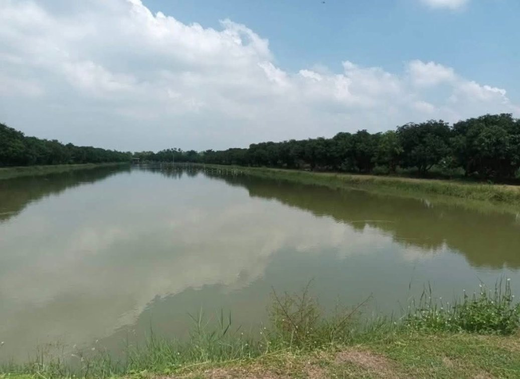 🤩 ⭐️ 🌿 🏞️ 🎣 🐠 🇹🇭 New Listing Alert ‼️  🌊 Shrimp & Fish Farm Property for Sale in Thailand 🇹🇭