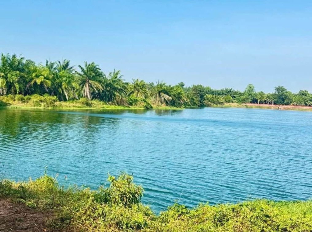 New Listing Alert 🪴 🎣 🐠 🇹🇭   ✨ Fishing Resort Land For Sale 🏡🎣🌿🇹🇭 ✨