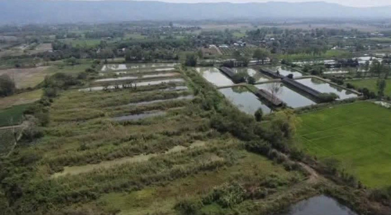 🚨 Amazing Agricultural Investment Opportunity in Chiang Rai 102 Rai‼️ 🌿🐟🐔🏡