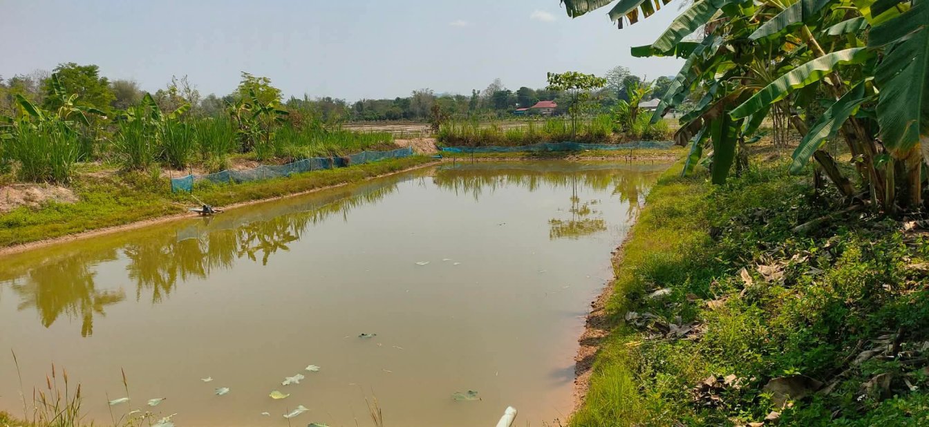 🌿 Land with Garden House for Sale in Thailand 🏠 🪴 🐠 🍌 🇹🇭