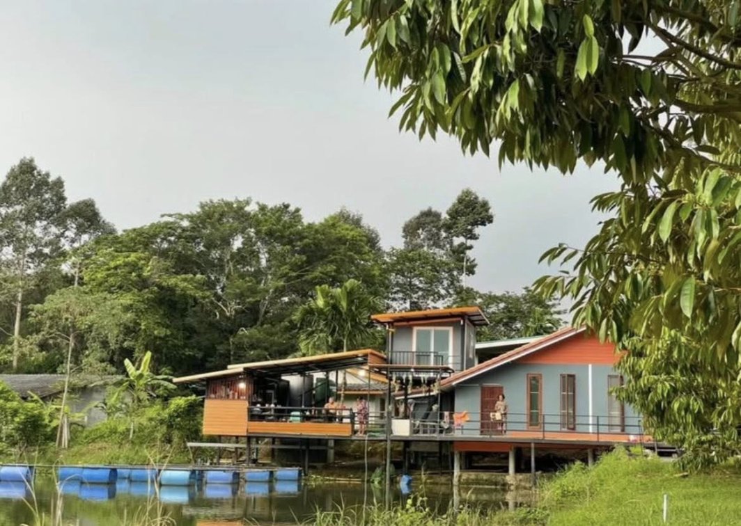 🌿 Durian Farm with Garden House for Sale in Rayong, Thailand 🏡 🪴 🐠 🇹🇭