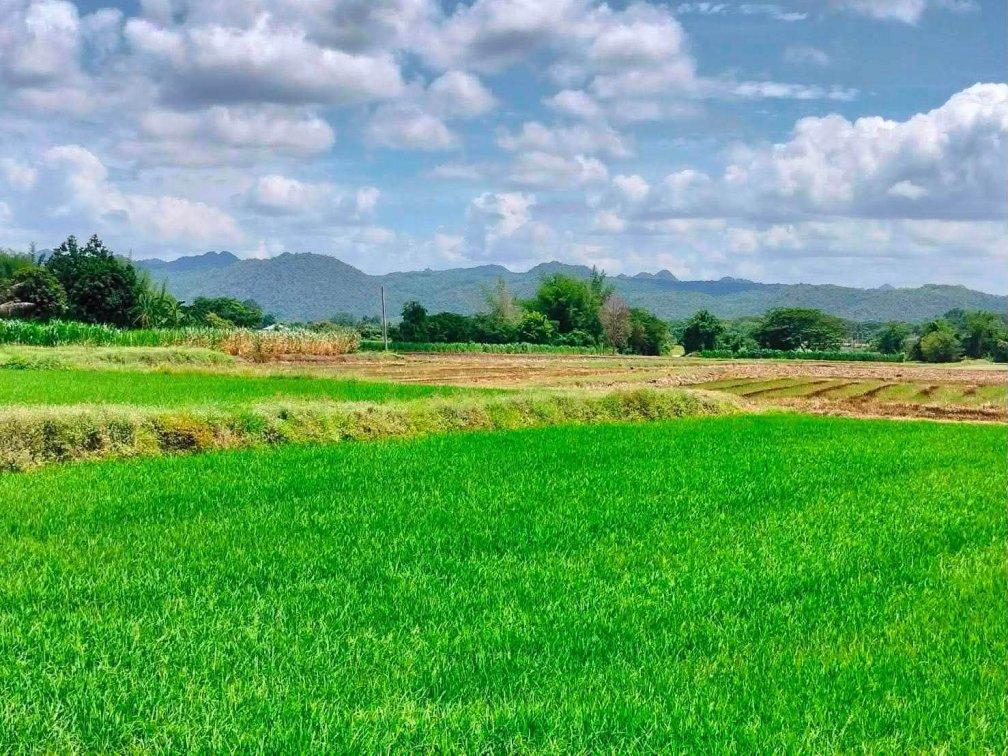 🌄✨ Beautiful Mountain View Land for Sale ✨🌄