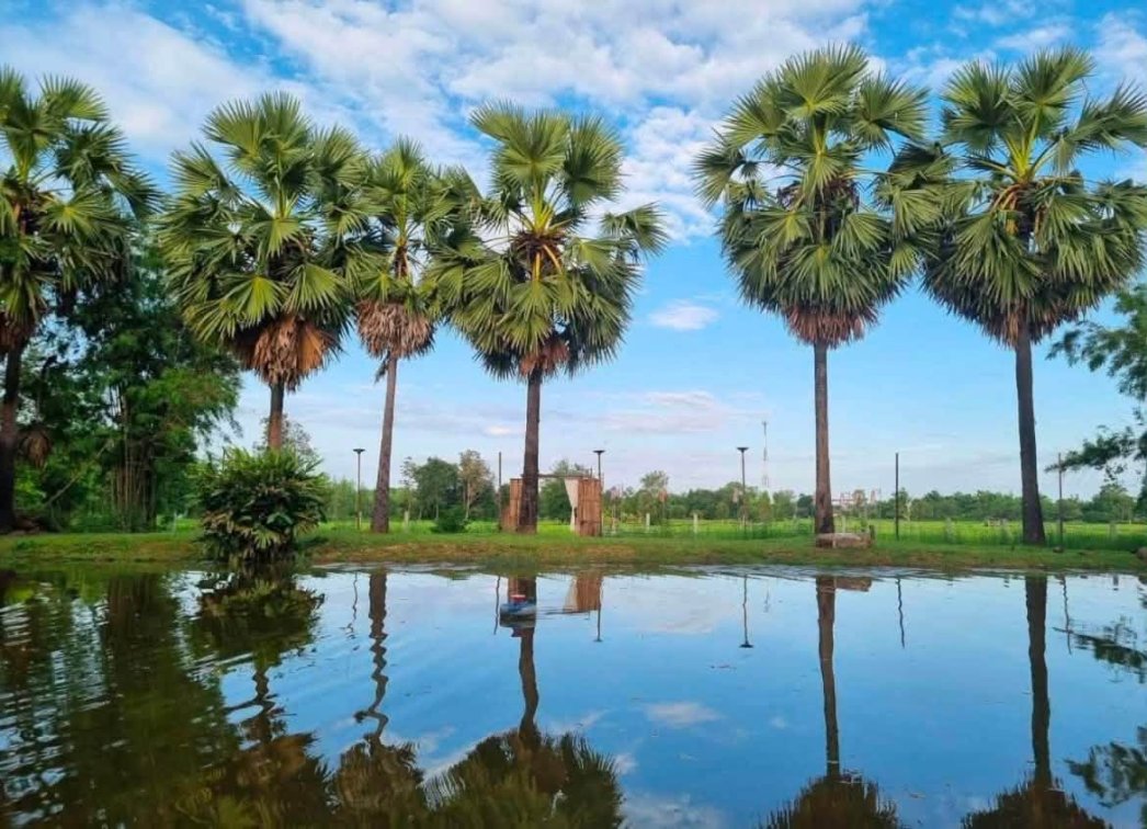 🚨 New Instruction Alert ‼️  🏡🌿 BEAUTIFUL HOUSE & LAND FOR SALE – NONG KHAI 🌿🏡